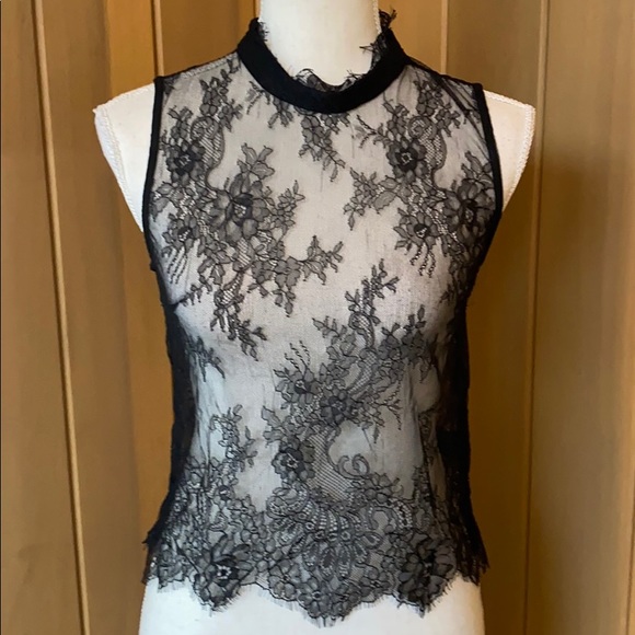 Jaspal Tops - NWOT Jaspal sheer lace high neck top